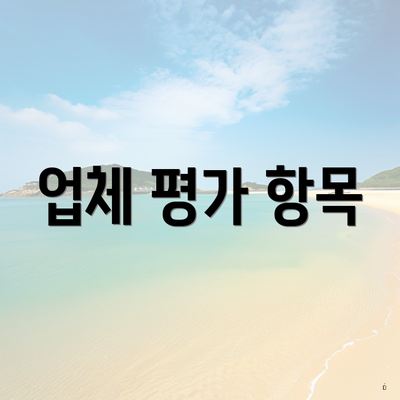 업체 평가 항목