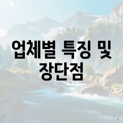 업체별 특징 및 장단점