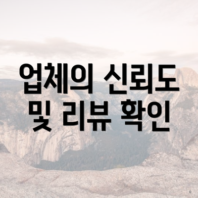 업체의 신뢰도 및 리뷰 확인