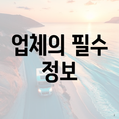 업체의 필수 정보