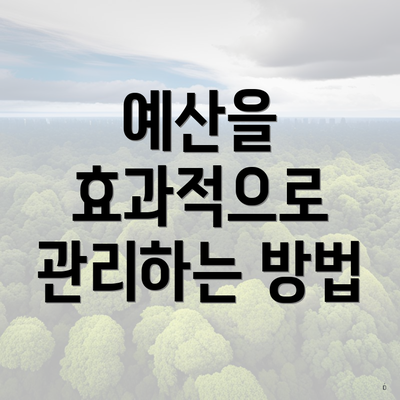 예산을 효과적으로 관리하는 방법