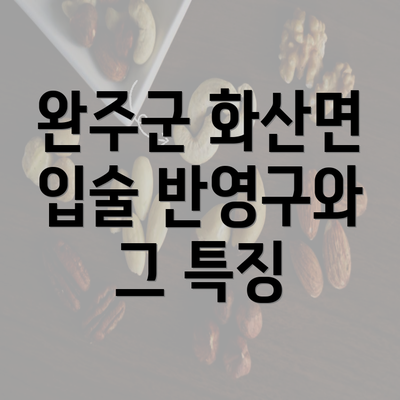 완주군 화산면 입술 반영구와 그 특징