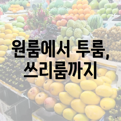 원룸에서 투룸, 쓰리룸까지