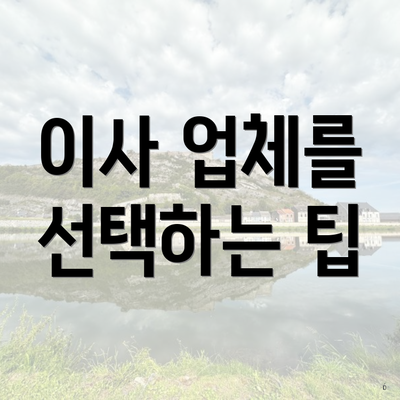 이사 업체를 선택하는 팁