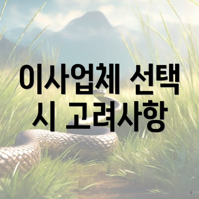 이사업체 선택 시 고려사항