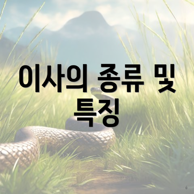 이사의 종류 및 특징