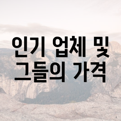 인기 업체 및 그들의 가격