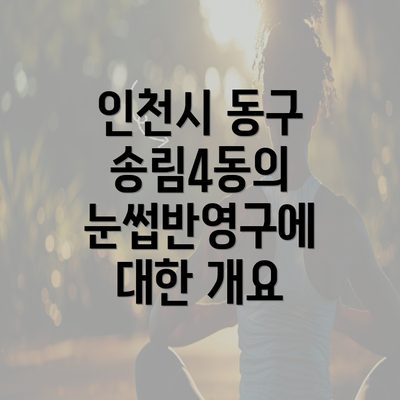 인천시 동구 송림4동의 눈썹반영구에 대한 개요