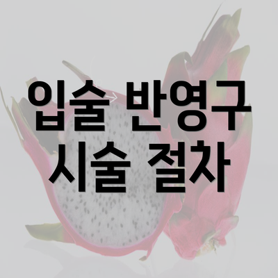 입술 반영구 시술 절차