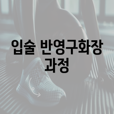 입술 반영구화장 과정