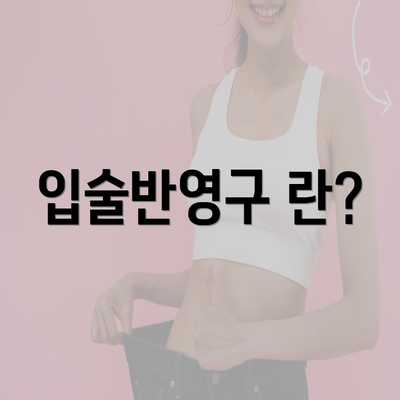 입술반영구 란?