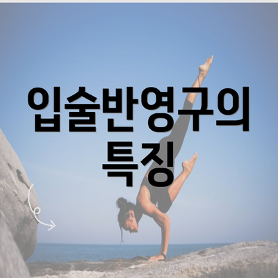 입술반영구의 특징