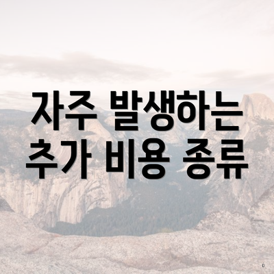 자주 발생하는 추가 비용 종류