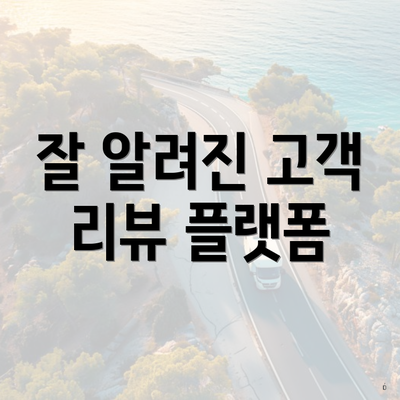 잘 알려진 고객 리뷰 플랫폼