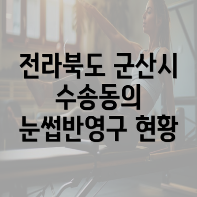 전라북도 군산시 수송동의 눈썹반영구 현황