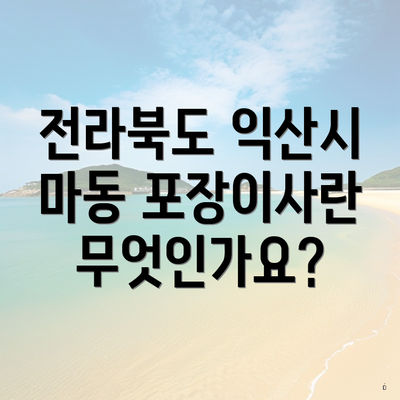 전라북도 익산시 마동 포장이사란 무엇인가요?