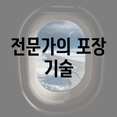 전문가의 포장 기술