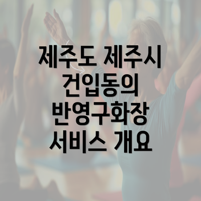 제주도 제주시 건입동의 반영구화장 서비스 개요