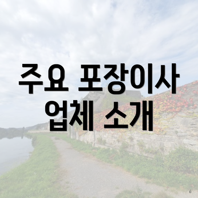 주요 포장이사 업체 소개