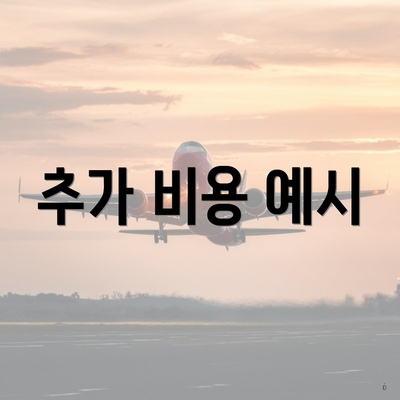 추가 비용 예시