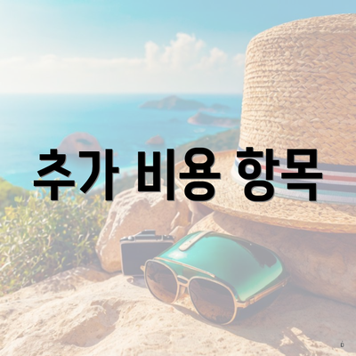 추가 비용 항목