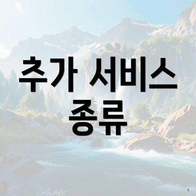 추가 서비스 종류