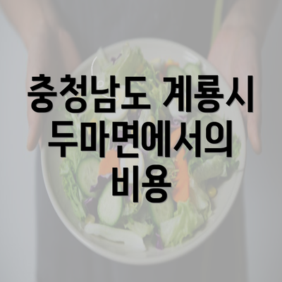 충청남도 계룡시 두마면에서의 비용