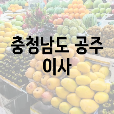 충청남도 공주 이사