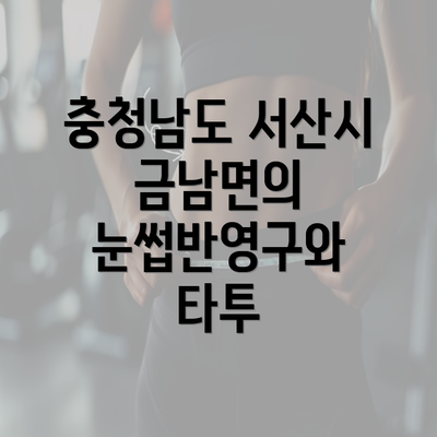 충청남도 서산시 금남면의 눈썹반영구와 타투