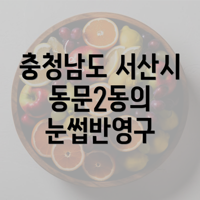 충청남도 서산시 동문2동의 눈썹반영구