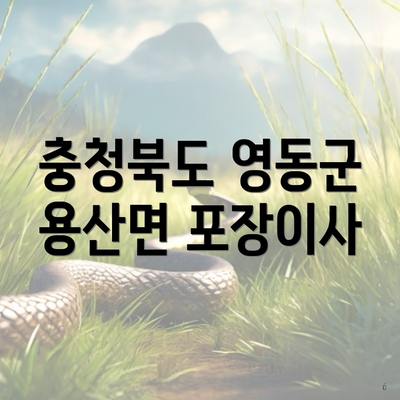 충청북도 영동군 용산면 포장이사