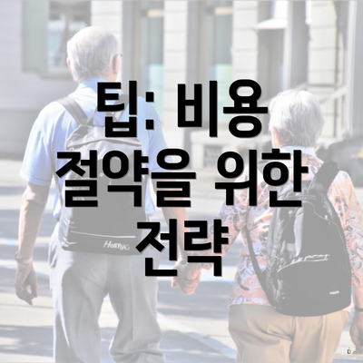 팁: 비용 절약을 위한 전략