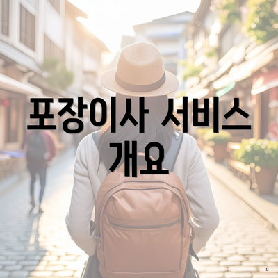 포장이사 서비스 개요