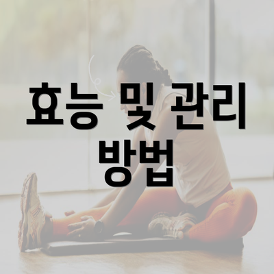 효능 및 관리 방법