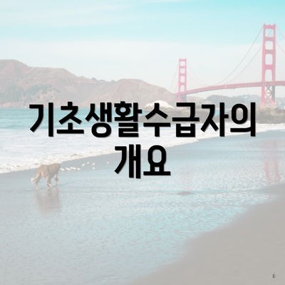 기초생활수급자의 개요