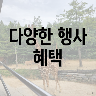 다양한 행사 혜택