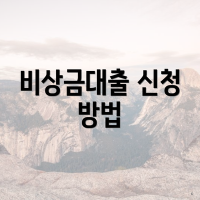 비상금대출 신청 방법