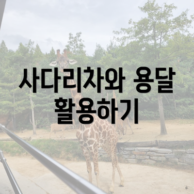 사다리차와 용달 활용하기