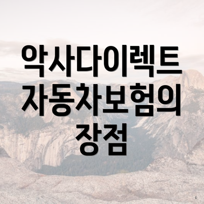 악사다이렉트 자동차보험의 장점