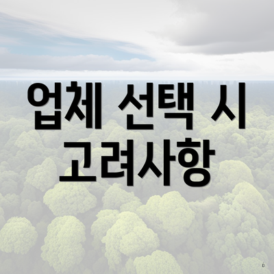 업체 선택 시 고려사항