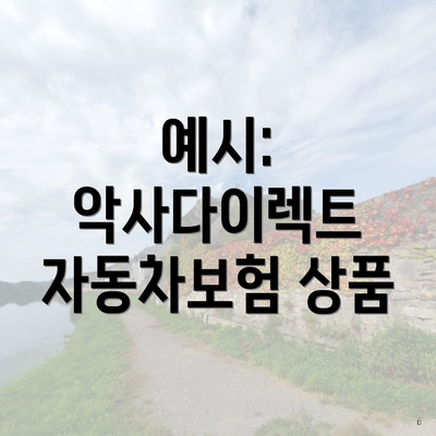 예시: 악사다이렉트 자동차보험 상품