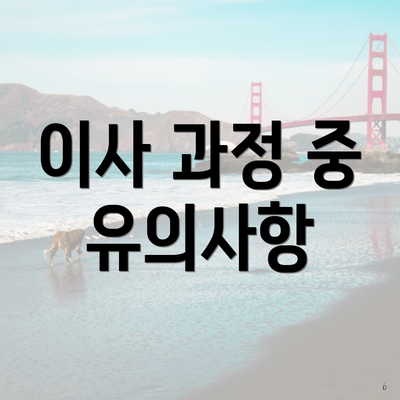 이사 과정 중 유의사항