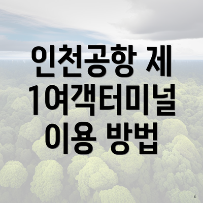 인천공항 제 1여객터미널 이용 방법