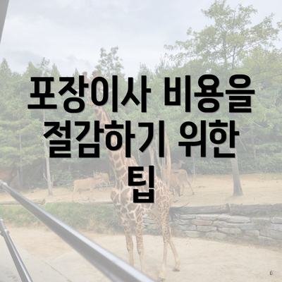 포장이사 비용을 절감하기 위한 팁