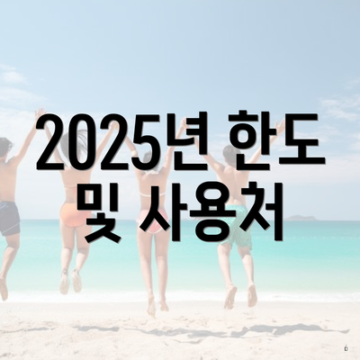 2025년 한도 및 사용처