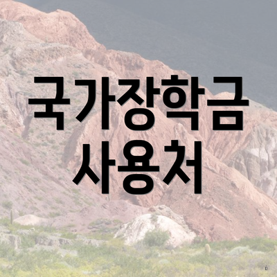 국가장학금 사용처