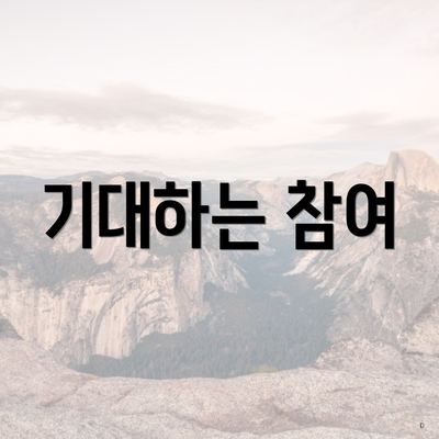기대하는 참여