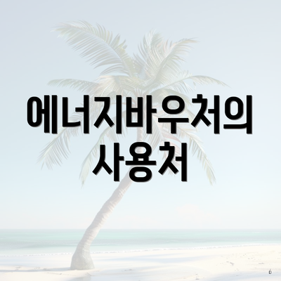 에너지바우처의 사용처