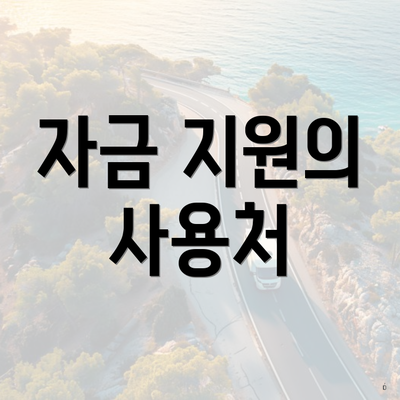 자금 지원의 사용처