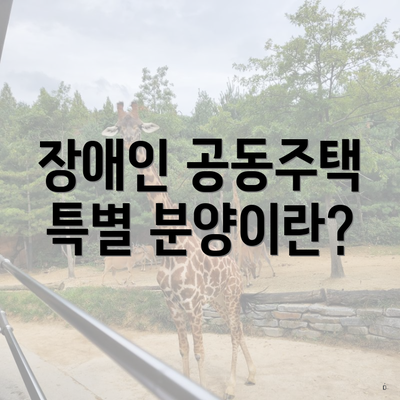 장애인 공동주택 특별 분양이란?